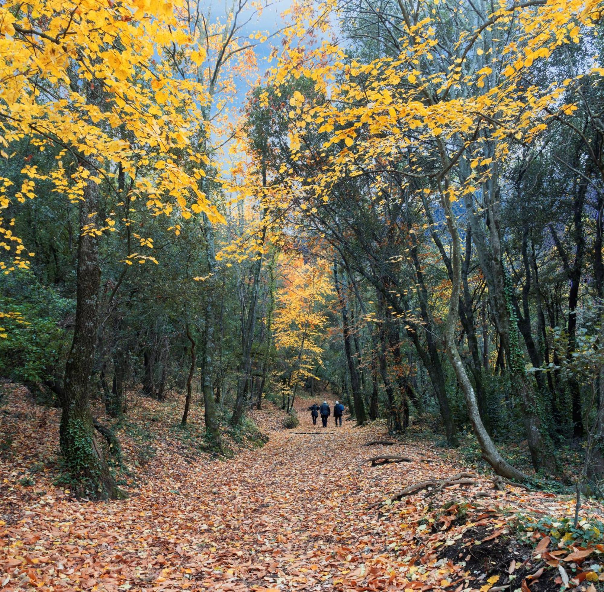 Mas Can Calet Aparthotel Les Franqueses del Vallès エクステリア 写真